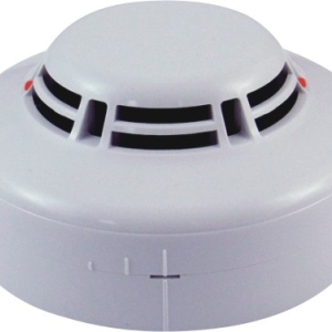 ĐẨU BÁO KHÓI THƯỜNG